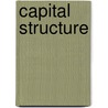 Capital Structure door Ahmed Riahi-Belkaoui