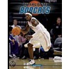 Charlotte Bobcats door Ryan Basen