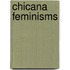 Chicana Feminisms