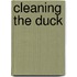 Cleaning The Duck