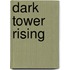 Dark Tower Rising