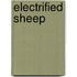 Electrified Sheep
