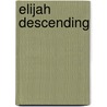 Elijah Descending by Nachman Ben-Chiam