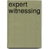 Expert Witnessing