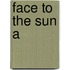 Face To The Sun A
