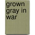 Grown Gray In War