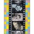 Hollywood Archive