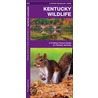 Kentucky Wildlife door James Kavanaugh