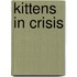 Kittens In Crisis