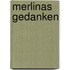 Merlinas Gedanken