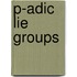P-Adic Lie Groups