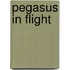 Pegasus In Flight