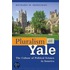 Pluralism at Yale