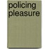 Policing Pleasure