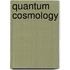 Quantum Cosmology