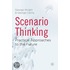 Scenario Thinking