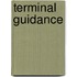 Terminal Guidance