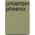 Uncertain Phoenix
