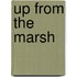 Up from the Marsh