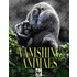 Vanishing Animals