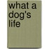 What A Dog's Life
