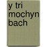 Y Tri Mochyn Bach