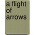 A Flight Of Arrows
