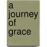 A Journey of Grace door Herbert W. Chilstrom