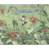 About Hummingbirds