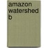 Amazon Watershed B