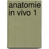 Anatomie in vivo 1