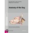 Anatomy of the Dog