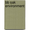 Bb Sak Environment by Scott R. Brennan