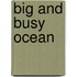 Big and Busy Ocean
