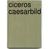 Ciceros Caesarbild