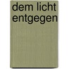 Dem Licht entgegen door Rudolf Schaefers