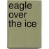 Eagle Over The Ice