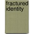 Fractured Identity