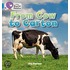 From Cow To Carton