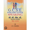 Gcse Panjabi Guide door J.S. Nagra