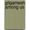 Gilgamesh Among Us door Theodore Ziolkowski