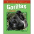 Gorillas in Danger