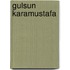 Gulsun Karamustafa