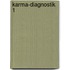 Karma-Diagnostik 1