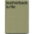 Leatherback Turtle