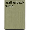 Leatherback Turtle door John McBrewster