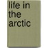 Life in the Arctic