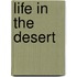 Life in the Desert