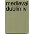 Medieval Dublin Iv
