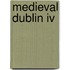 Medieval Dublin Iv